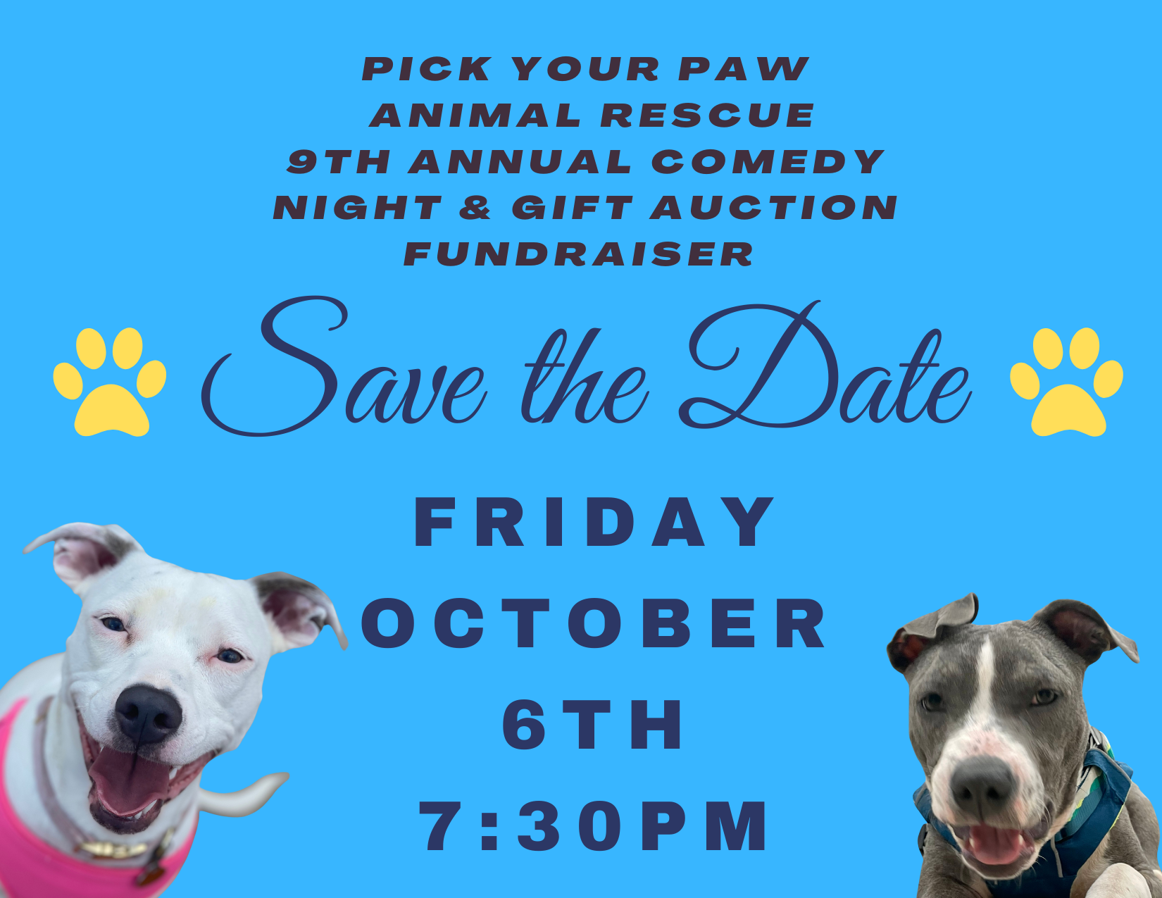 Events – Pick Your Paw