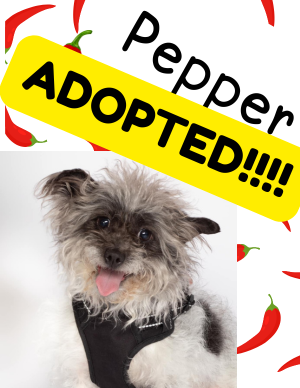 Pepper