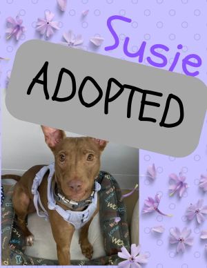Susie