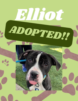 Elliot