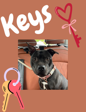 Keys