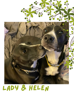 The Ladies – Lady & Helen