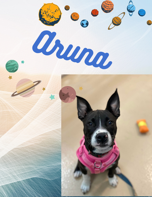 Aruna