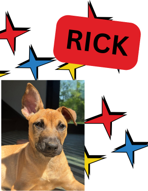 Rick