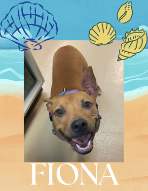 Fiona