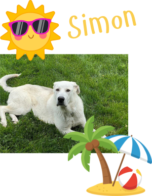Simon